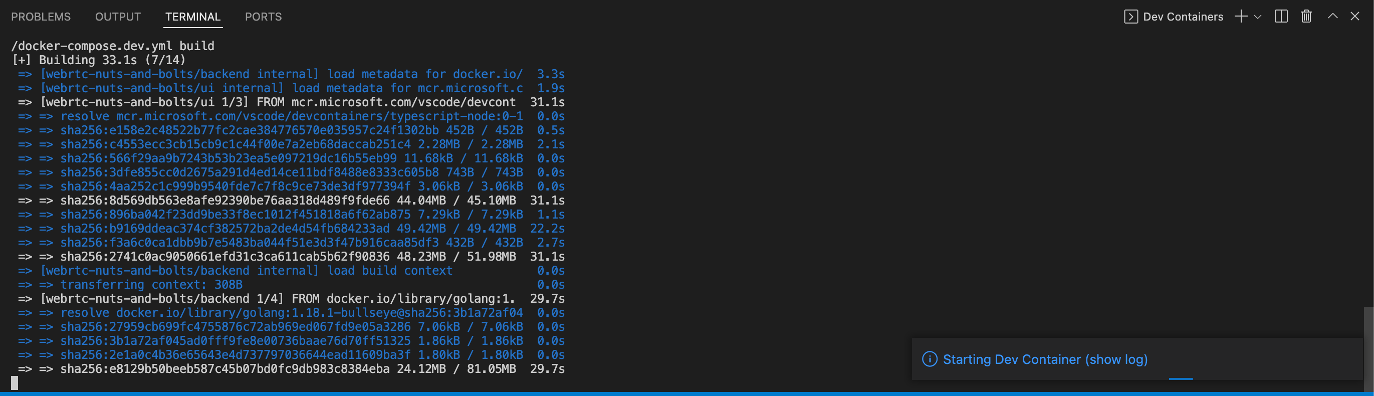 Starting Dev Container log